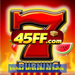 bichos atrasado na bahia